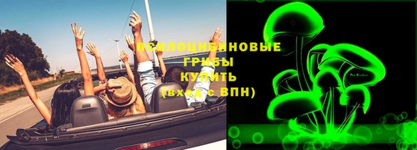 соль ск Алзамай