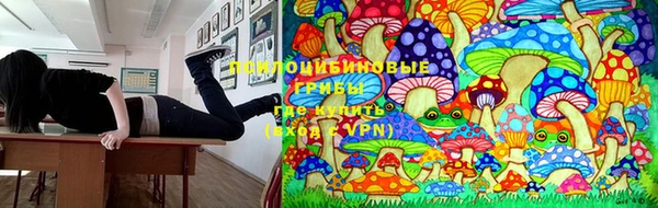 соль курить ск Алексин