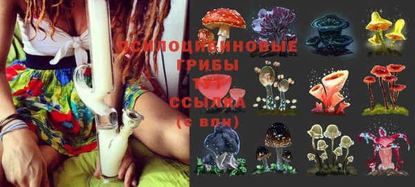 соль курить ск Алексин
