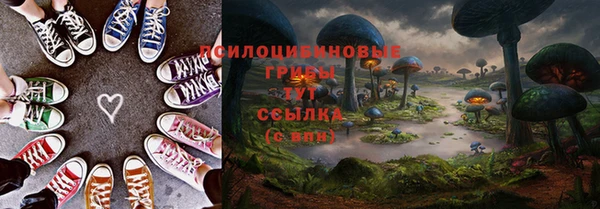 соль ск Алзамай